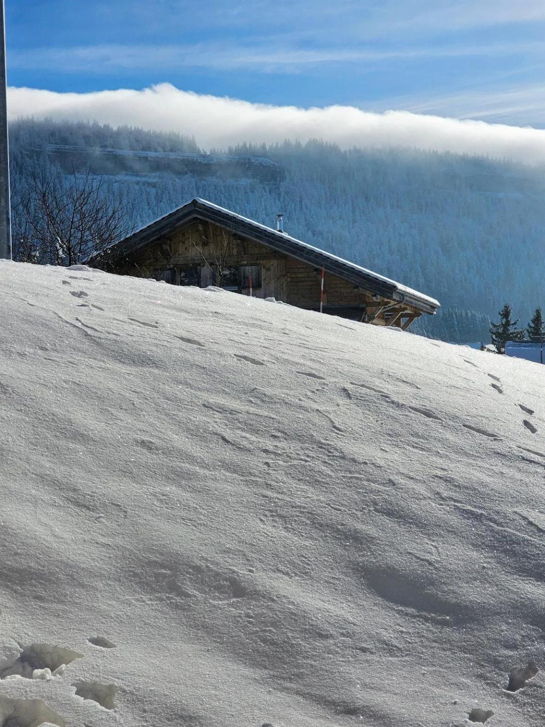 Magnifique Appartement A La Montagne Classe 4 Etoiles Chapelle-des-Bois Dış mekan fotoğraf